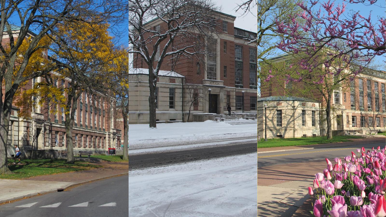 Hughes Hall in autumn, winter, spring